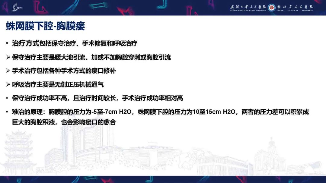 影像PPT - 【PPT】胸膜瘘影像诊断-12