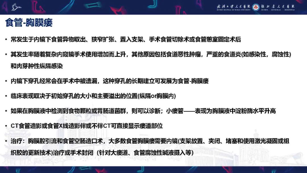 影像PPT - 【PPT】胸膜瘘影像诊断-21