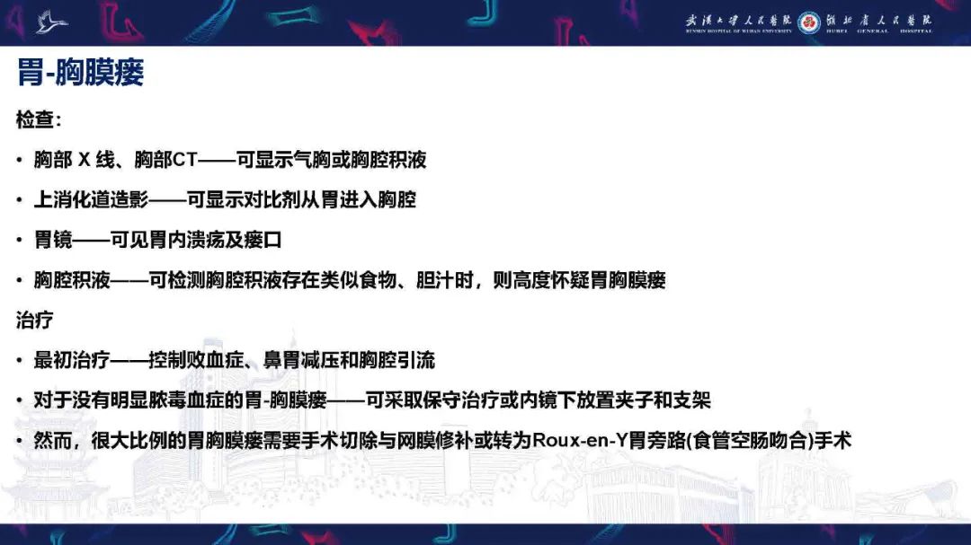 影像PPT - 【PPT】胸膜瘘影像诊断-27