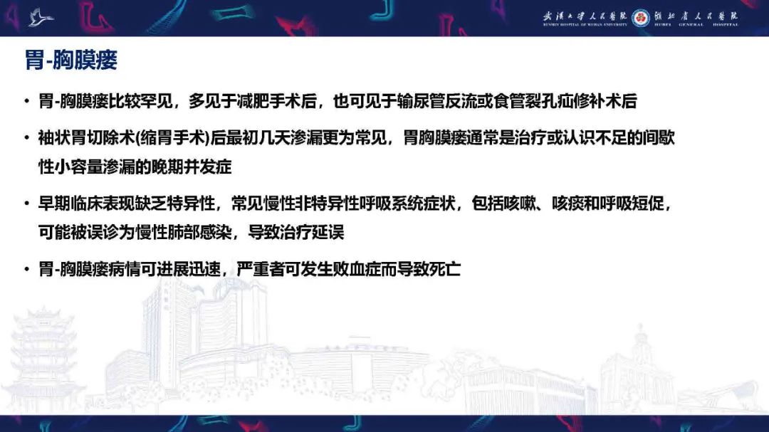 影像PPT - 【PPT】胸膜瘘影像诊断-26