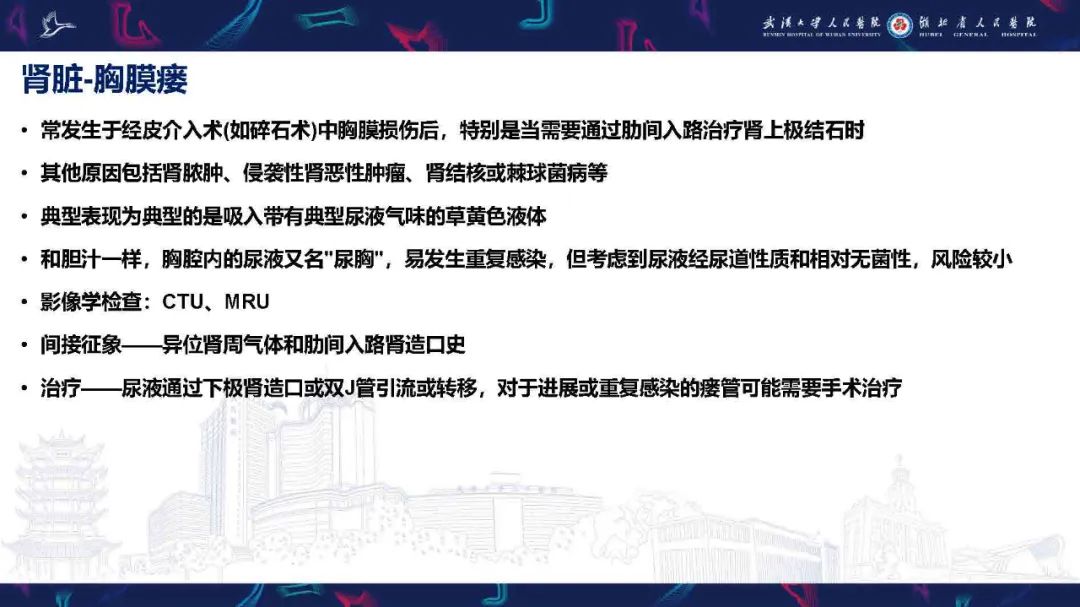 影像PPT - 【PPT】胸膜瘘影像诊断-43