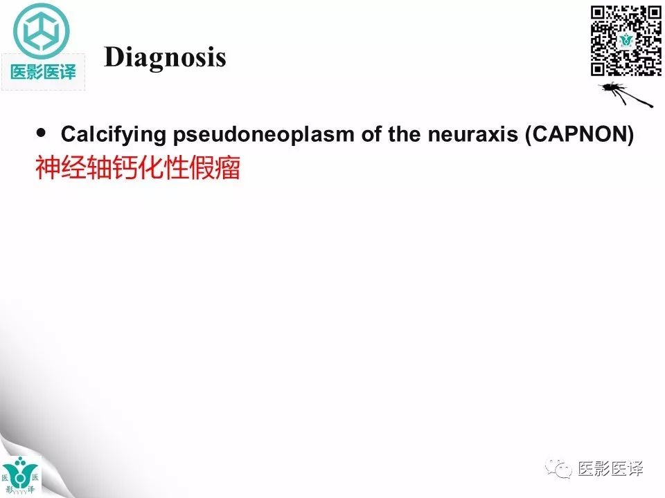影像PPT - 【病例】神经中轴钙化性假瘤1例-13