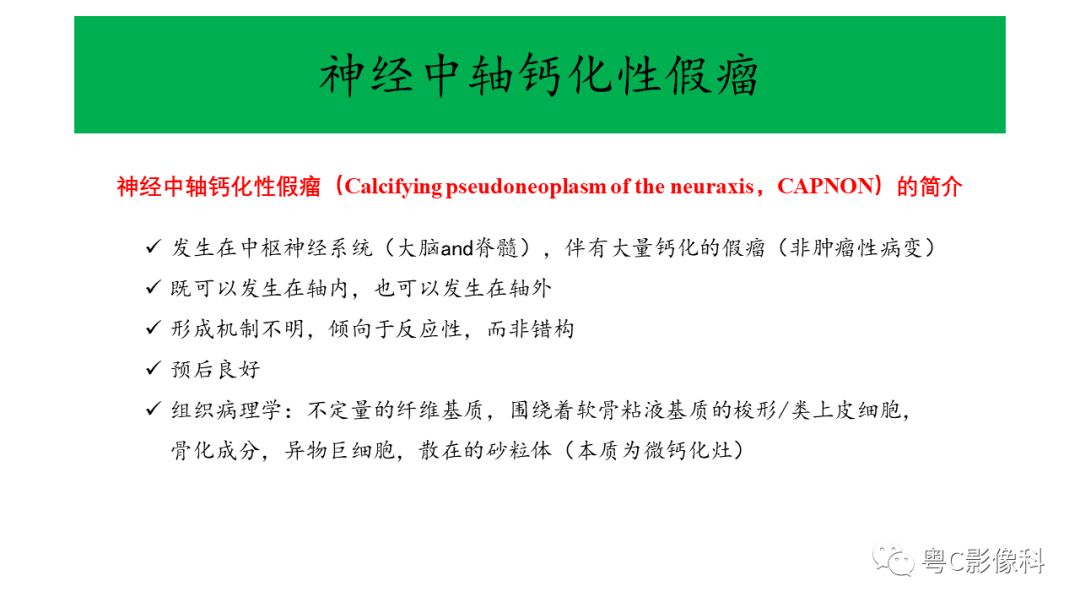 影像PPT - 【PPT】神经中轴钙化性假瘤(CAPNON)的影像诊断及鉴别诊断-2