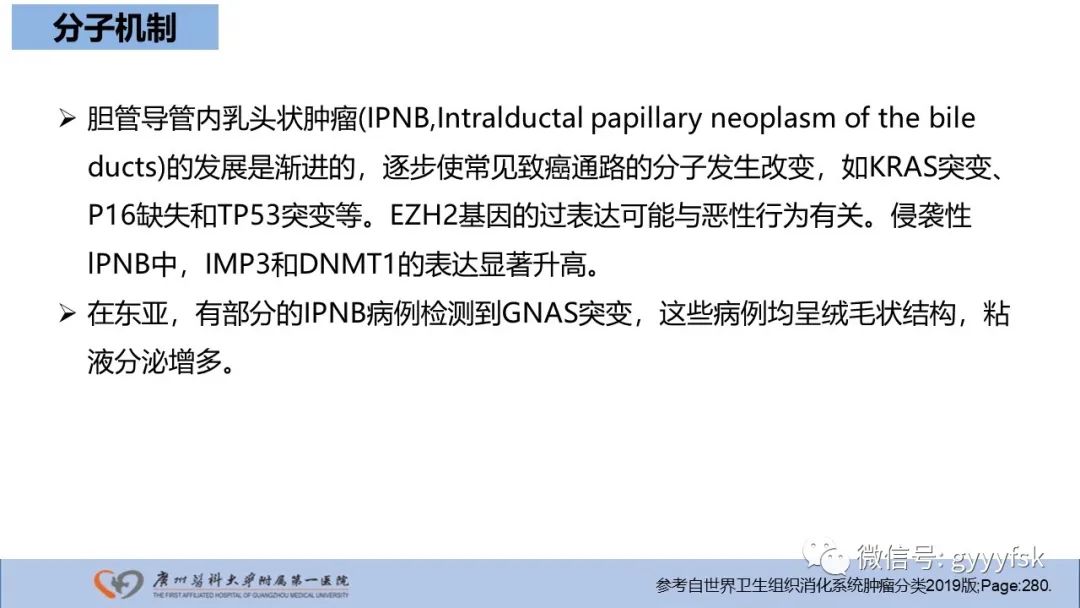 影像PPT - 【PPT】胆管导管内乳头状肿瘤-24