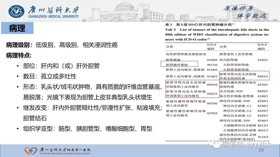 影像PPT - 【PPT】胆管导管内乳头状肿瘤-29