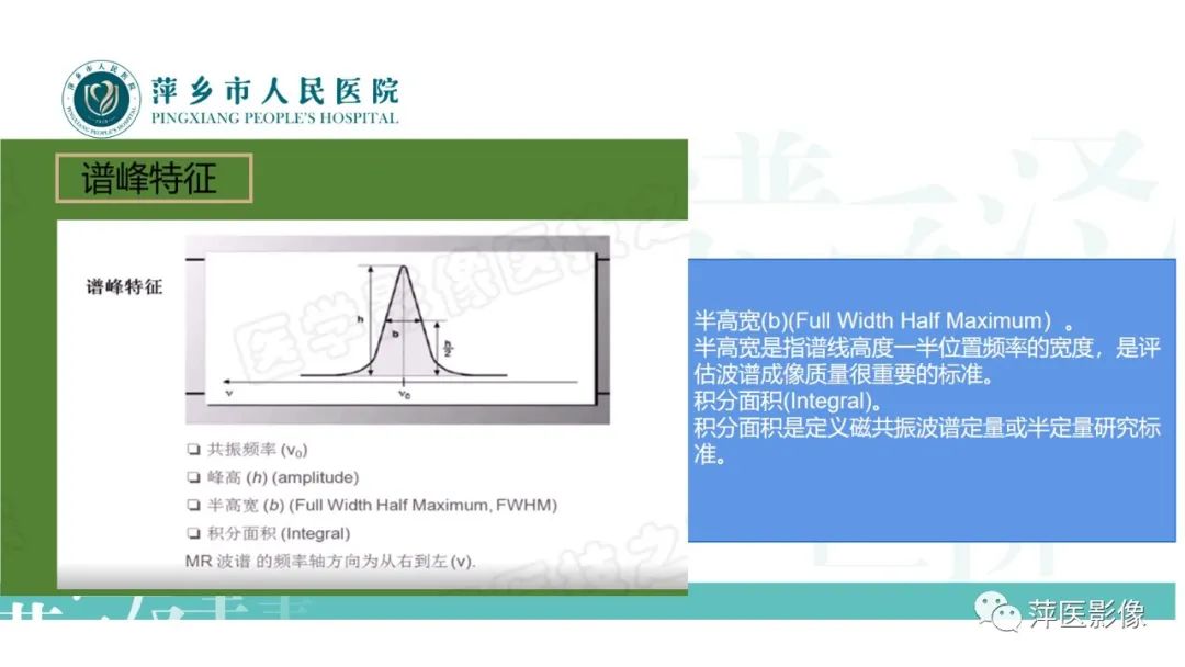 影像PPT - 【PPT】浅析脑肿瘤波谱成像-13