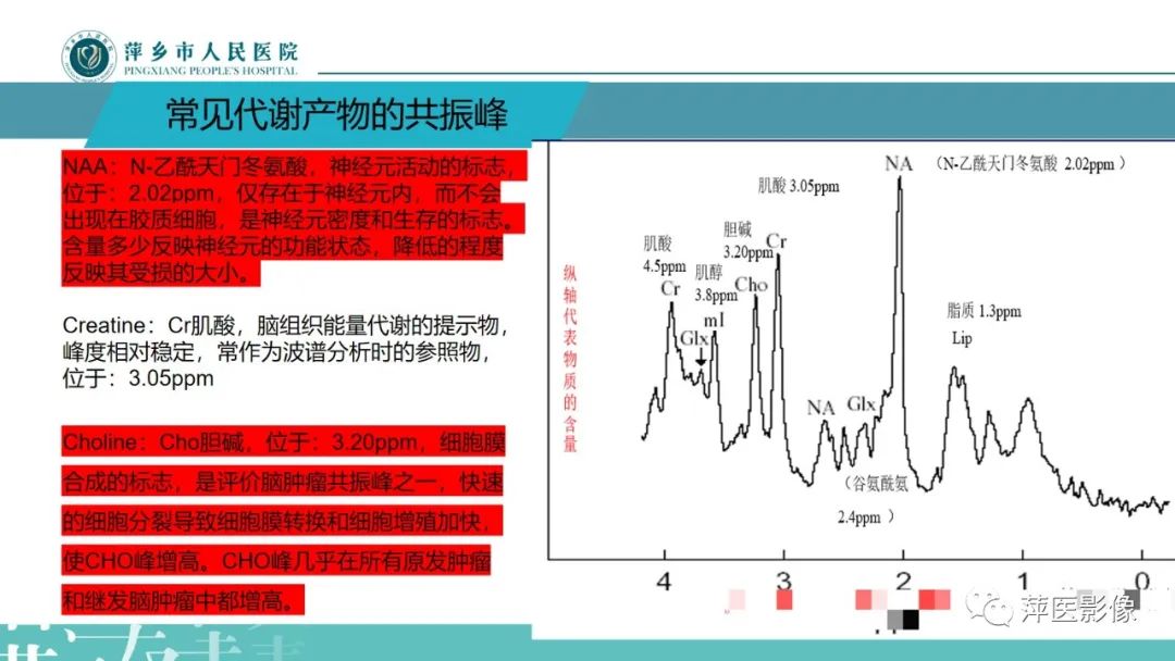 影像PPT - 【PPT】浅析脑肿瘤波谱成像-14