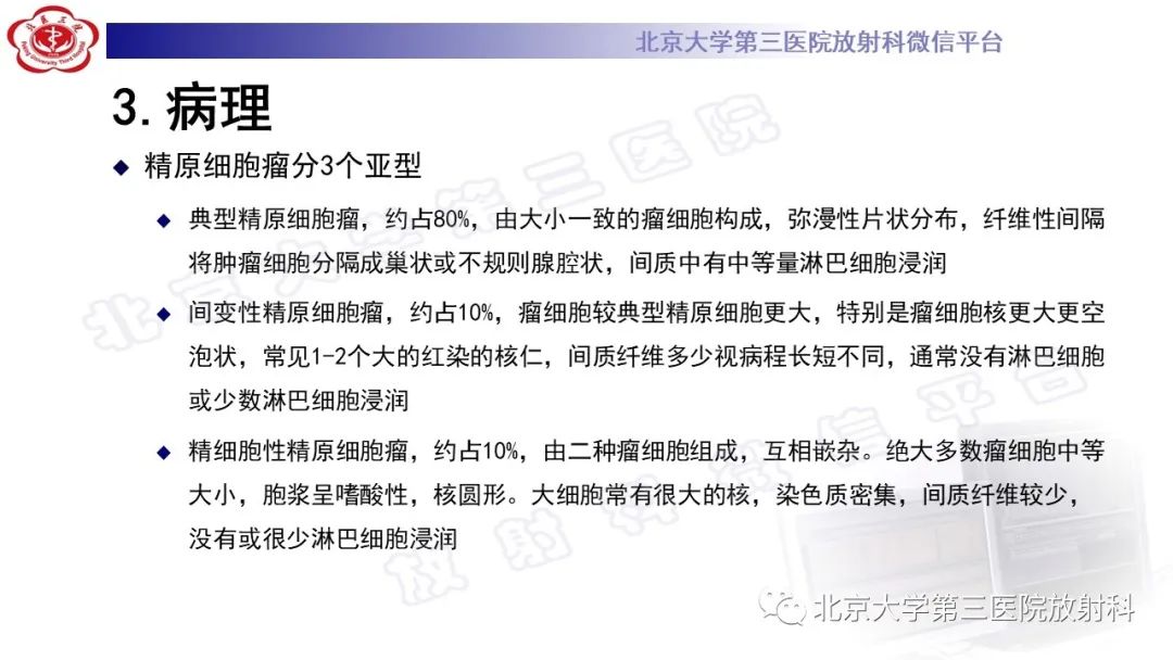 影像PPT - 【PPT】精原细胞瘤-16