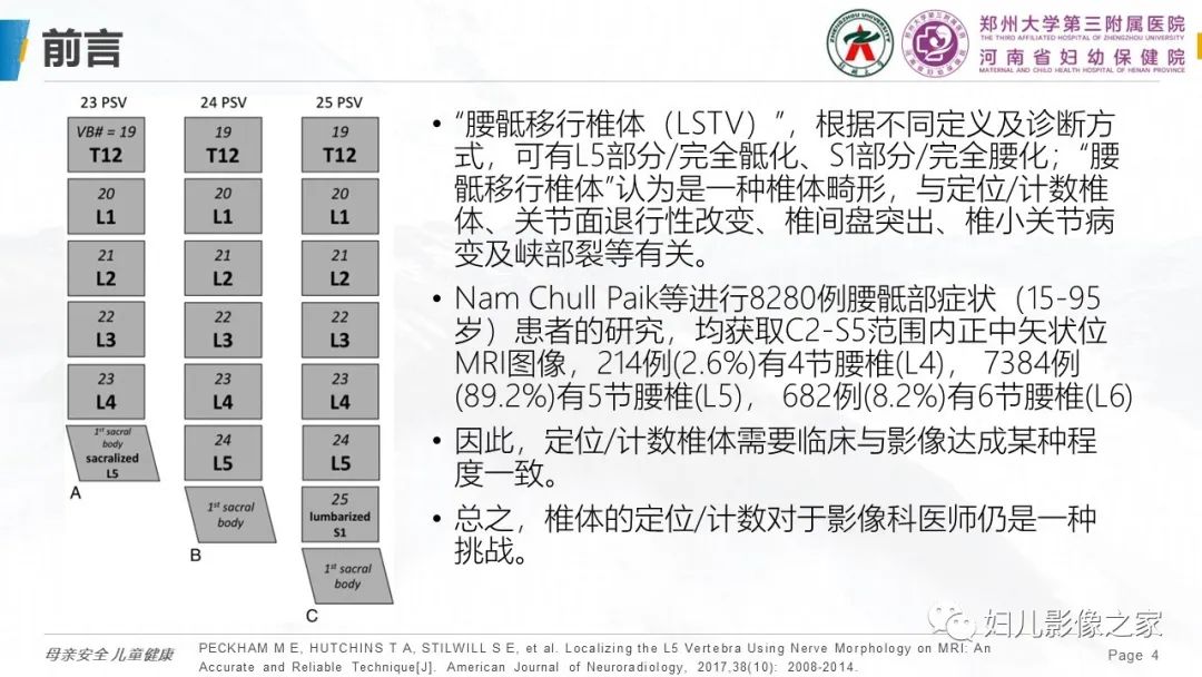 影像PPT - 【PPT】椎体定位与计数—再认识-3