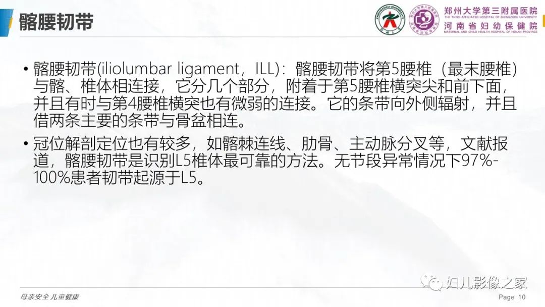 影像PPT - 【PPT】椎体定位与计数—再认识-9