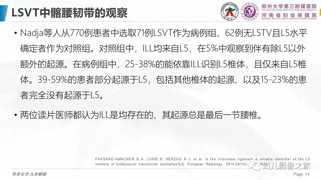 影像PPT - 【PPT】椎体定位与计数—再认识-13
