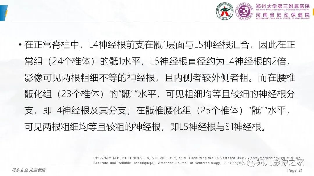 影像PPT - 【PPT】椎体定位与计数—再认识-20