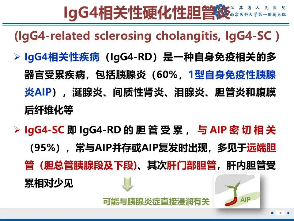 影像PPT - 【PPT】IgG4相关性硬化性胆管炎-31