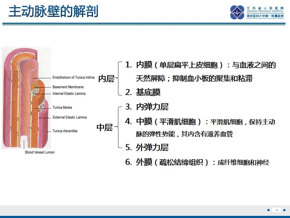 影像PPT - 高度危险的“高密度新月征”-12 影像PPT - 高度危险的“高密度新月征”-12