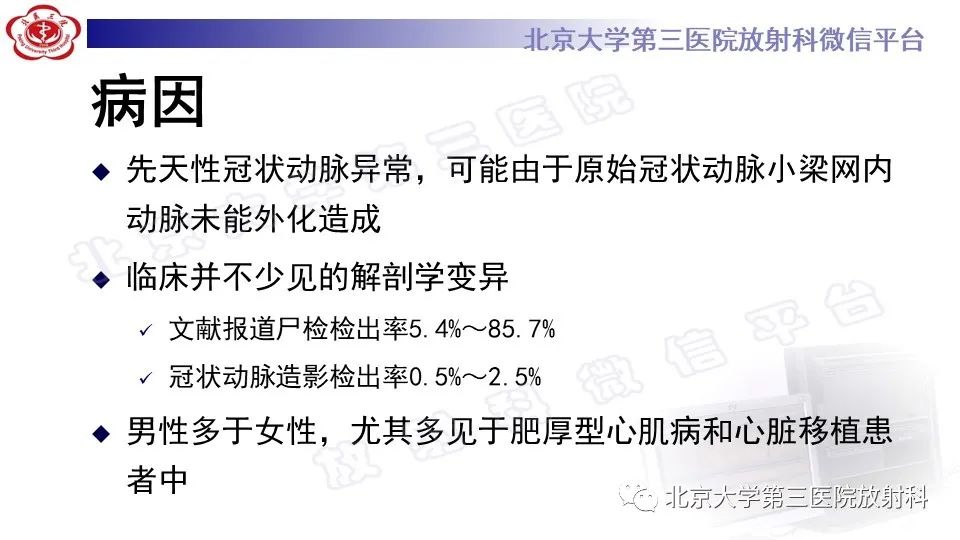 影像PPT - 【PPT】心肌桥-12