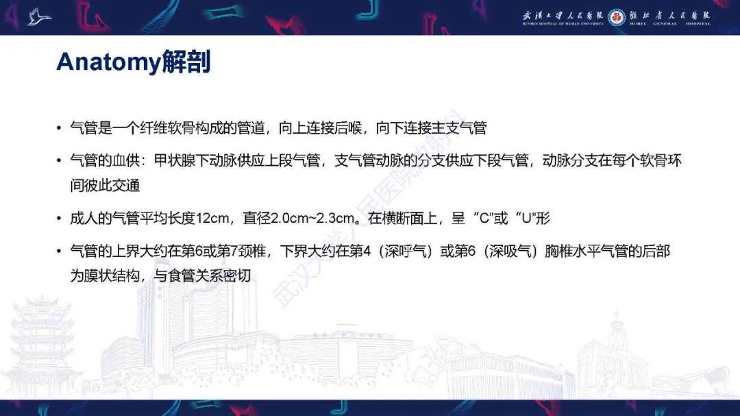 影像PPT - 【PPT】气管支气管肿瘤影像诊断-7