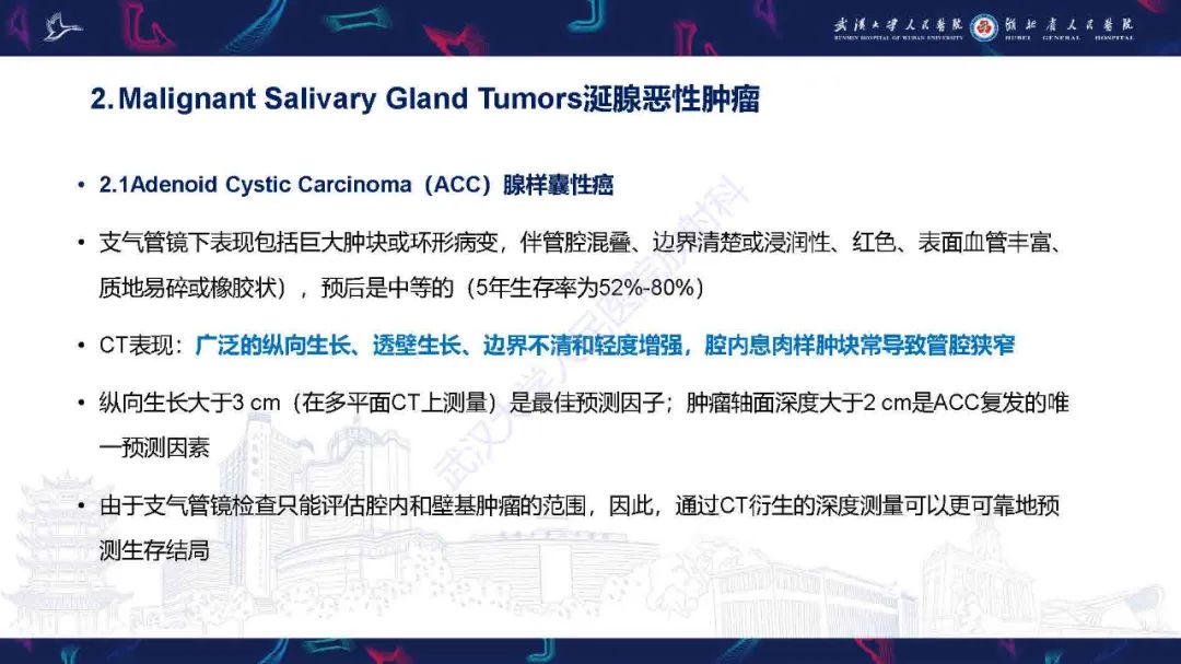 影像PPT - 【PPT】气管支气管肿瘤影像诊断-13
