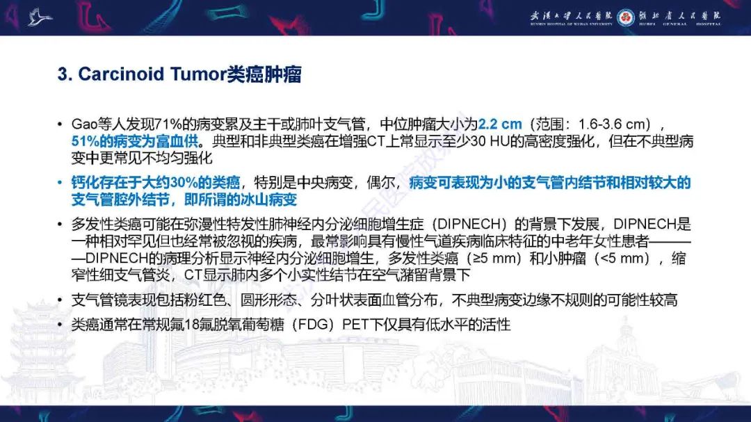 影像PPT - 【PPT】气管支气管肿瘤影像诊断-24