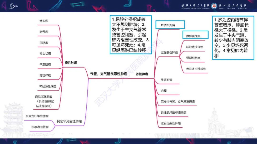 影像PPT - 【PPT】气管支气管肿瘤影像诊断-56