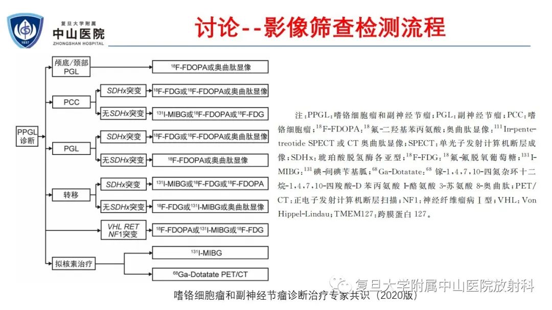 影像PPT - 【病例】肾上腺嗜铬细胞瘤伴转移1例CT及MR影像-31