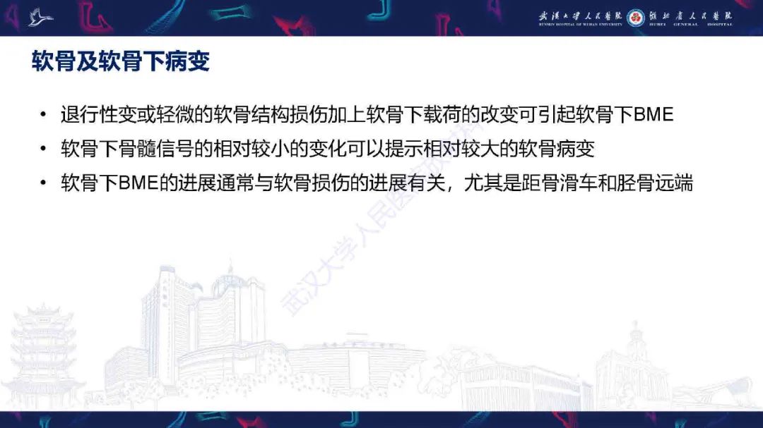 影像PPT - 【PPT】踝关节骨髓水肿MRI诊断-21