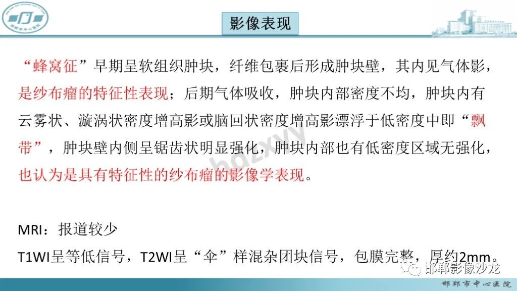 影像PPT - 腹腔内的“蜂窝征”-13 影像PPT - 腹腔内的“蜂窝征”-13