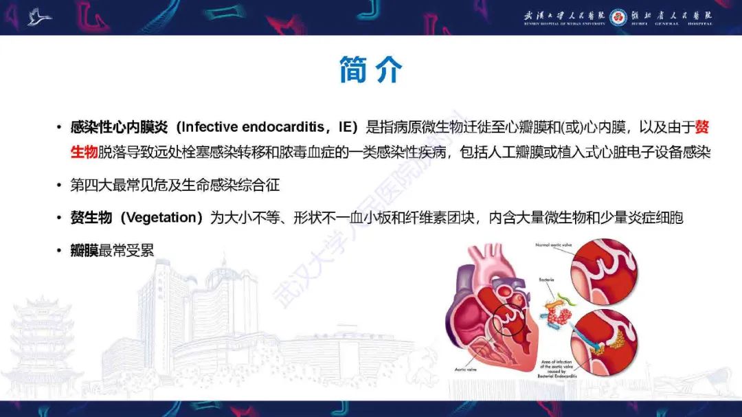 影像PPT - 【PPT】感染性心内膜炎CT诊断-2