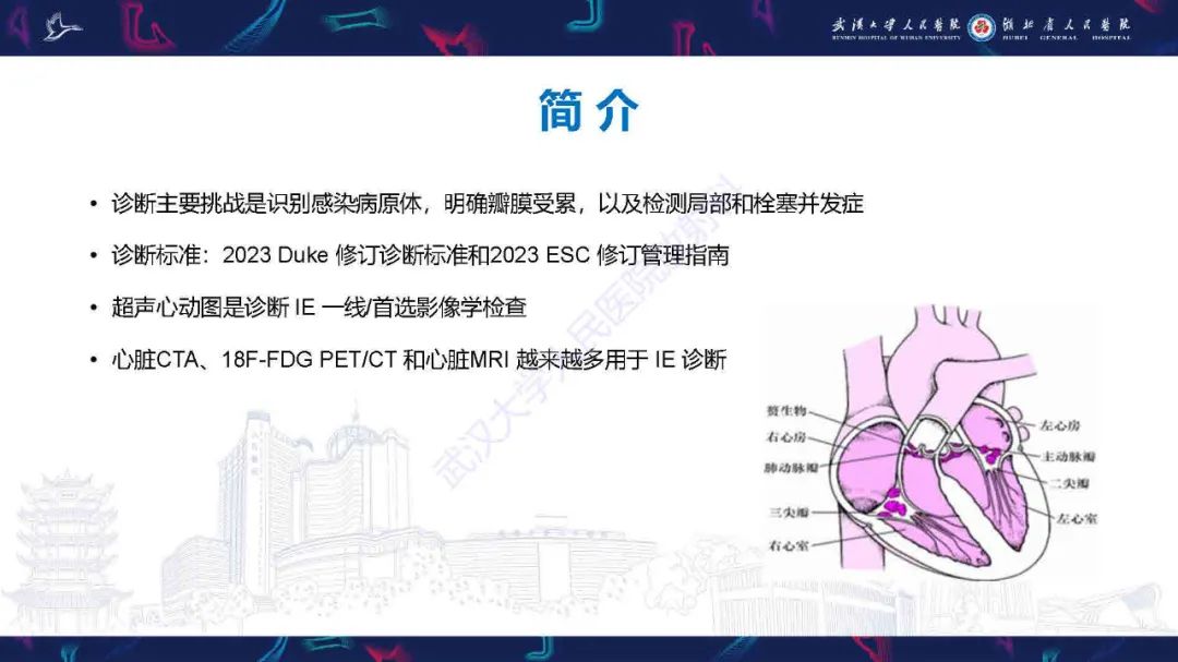 影像PPT - 【PPT】感染性心内膜炎CT诊断-3