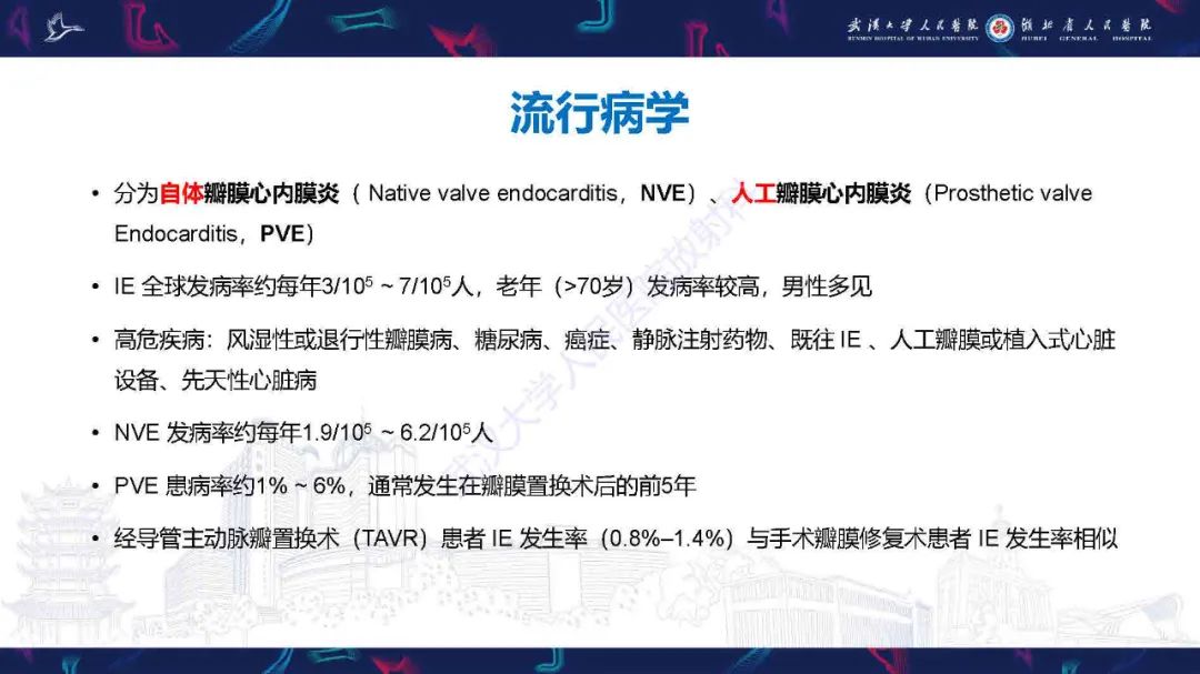 影像PPT - 【PPT】感染性心内膜炎CT诊断-4