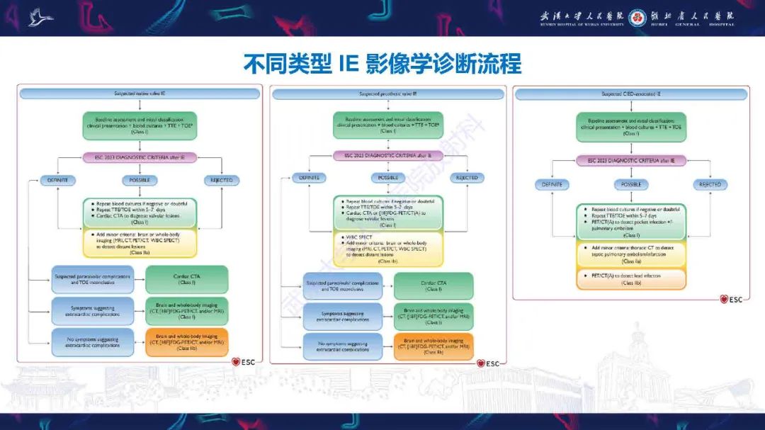 影像PPT - 【PPT】感染性心内膜炎CT诊断-11