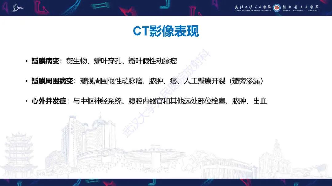 影像PPT - 【PPT】感染性心内膜炎CT诊断-14