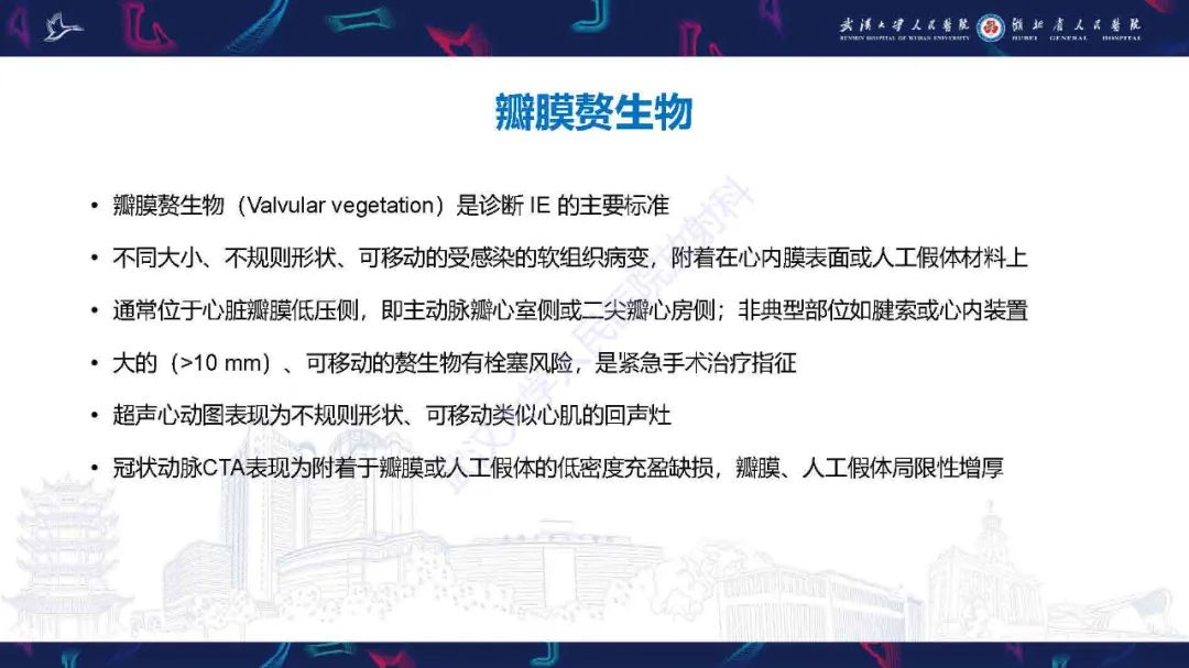 影像PPT - 【PPT】感染性心内膜炎CT诊断-16
