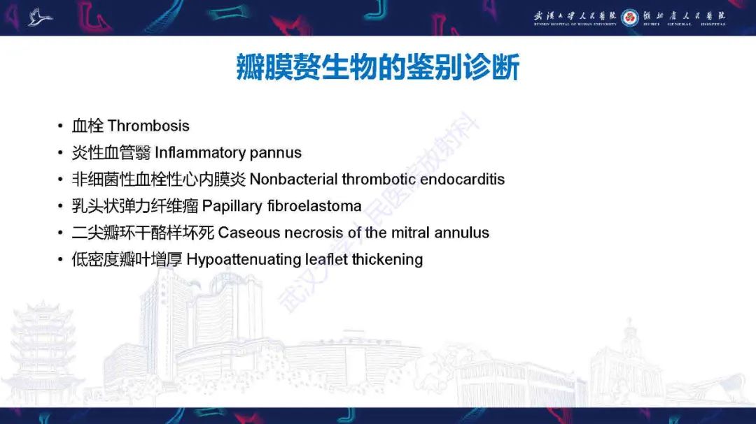 影像PPT - 【PPT】感染性心内膜炎CT诊断-34