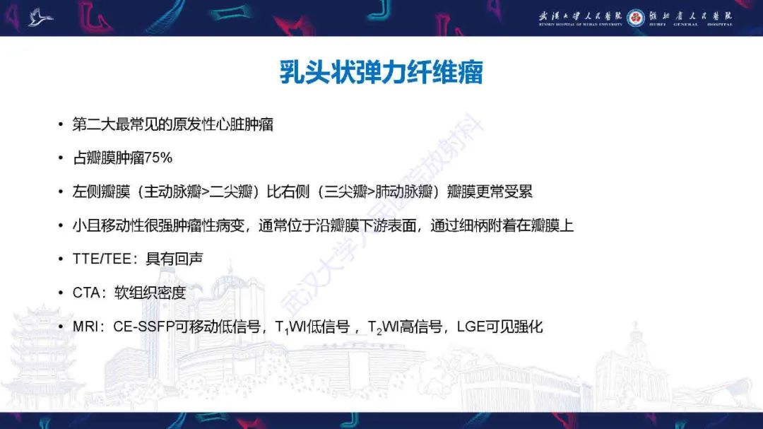 影像PPT - 【PPT】感染性心内膜炎CT诊断-35
