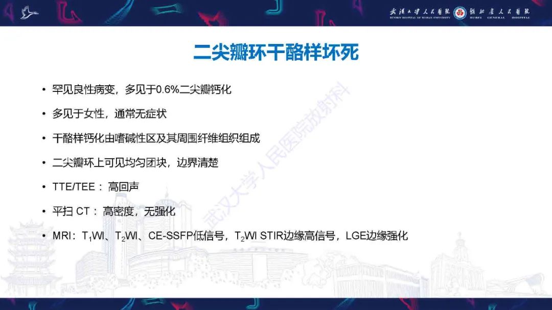 影像PPT - 【PPT】感染性心内膜炎CT诊断-39