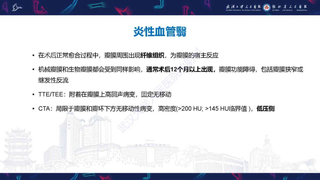 影像PPT - 【PPT】感染性心内膜炎CT诊断-43