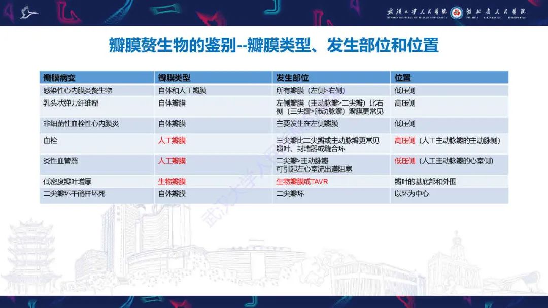 影像PPT - 【PPT】感染性心内膜炎CT诊断-48