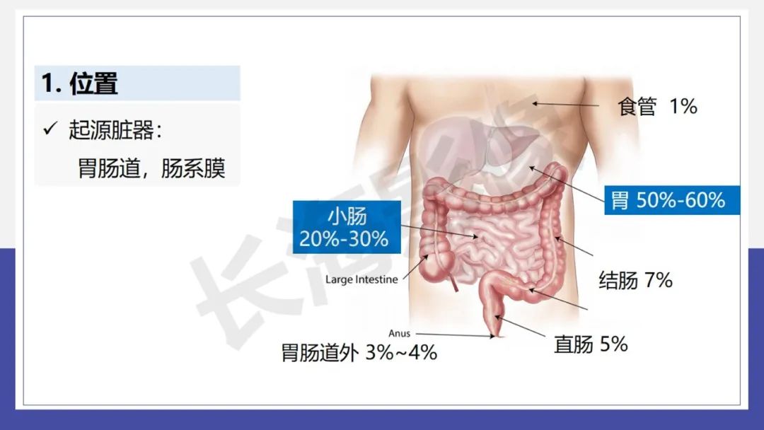影像PPT - 【PPT 】胃肠间质瘤-8