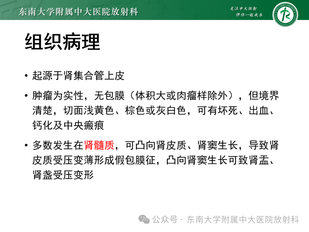 影像PPT - 【PPT】肾嫌色细胞癌-13 影像PPT - 【PPT】肾嫌色细胞癌-13