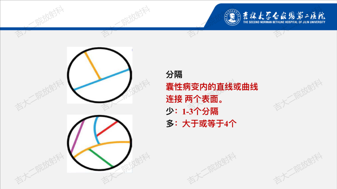 影像PPT - 【PPT】肾脏囊性肿块的Bosniak分级解读（2019版）-12