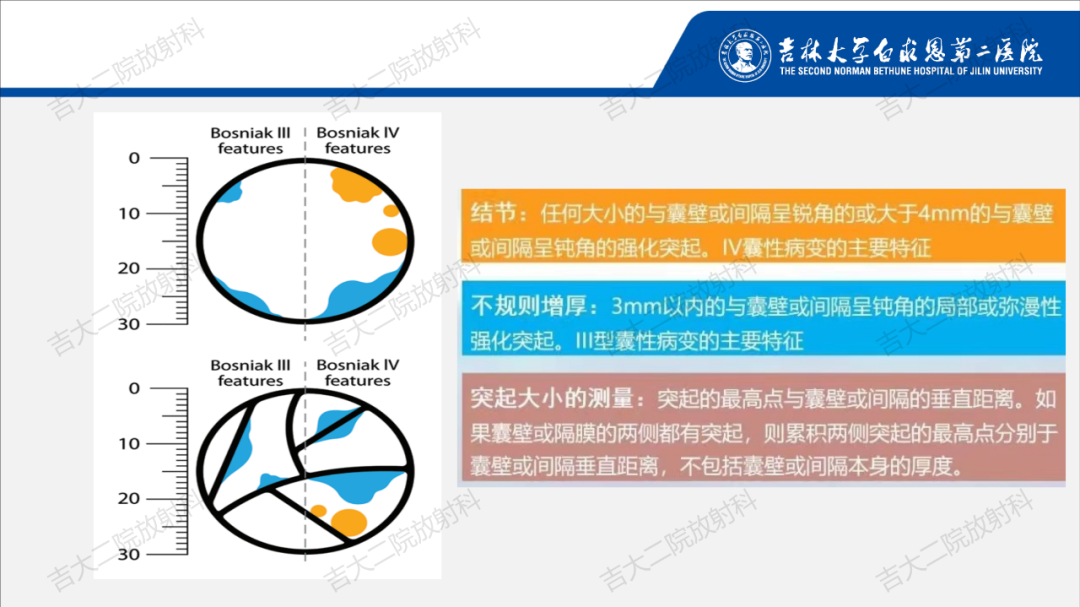 影像PPT - 【PPT】肾脏囊性肿块的Bosniak分级解读（2019版）-14