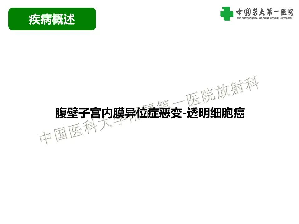 影像PPT - 【病例】腹壁子宫内膜异位症恶变-透明细胞癌-9