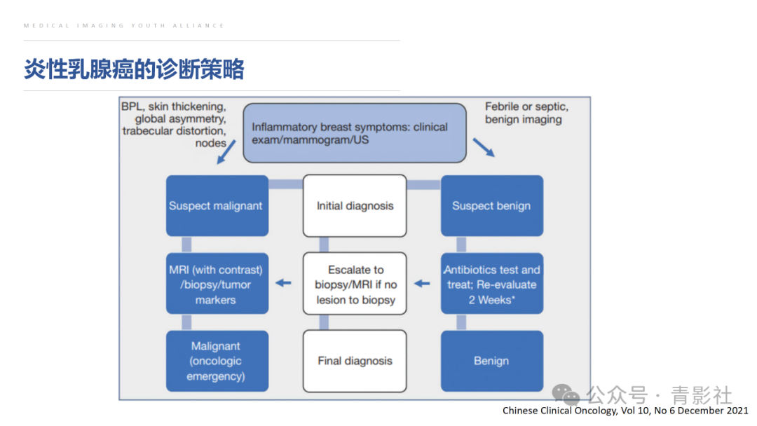 影像PPT - 【PPT】炎性乳腺癌的诊断及鉴别诊断-14
