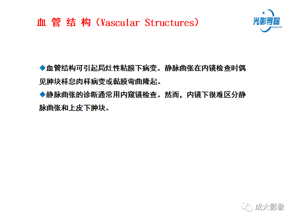 影像PPT - 【PPT】胃肠道上皮下富血供肿瘤及肿瘤样病变的CT表现-42