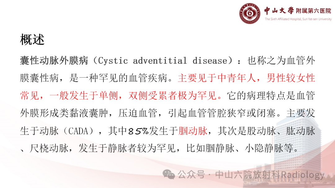 影像PPT - 【PPT】囊性动脉外膜病-4