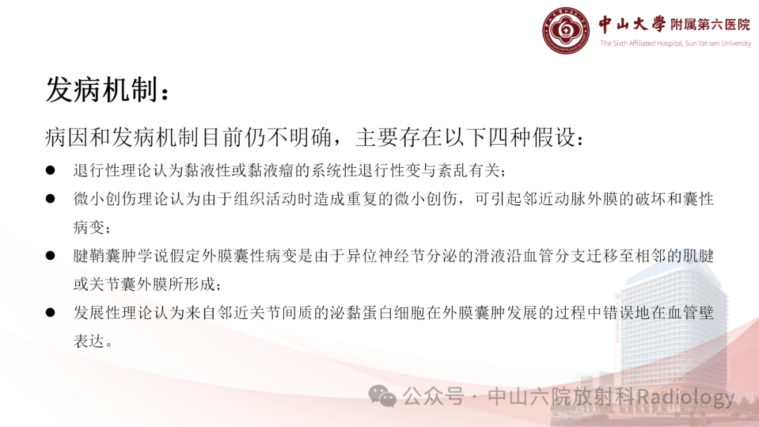 影像PPT - 【PPT】囊性动脉外膜病-7