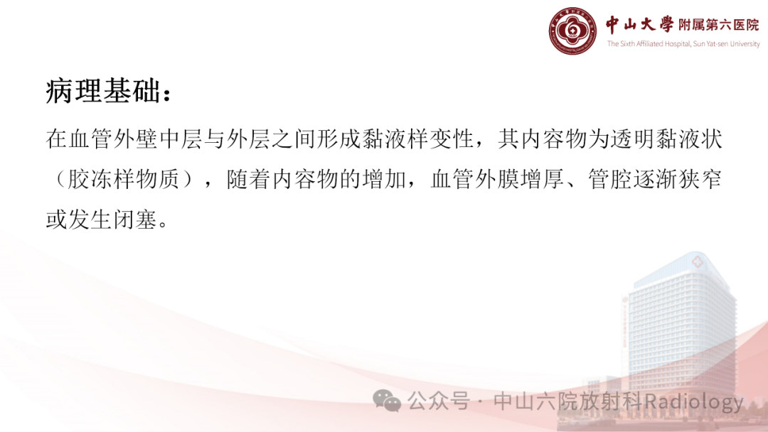 影像PPT - 【PPT】囊性动脉外膜病-6