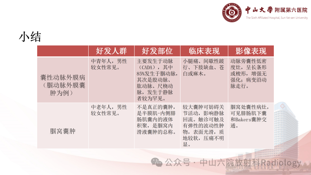 影像PPT - 【PPT】囊性动脉外膜病-18