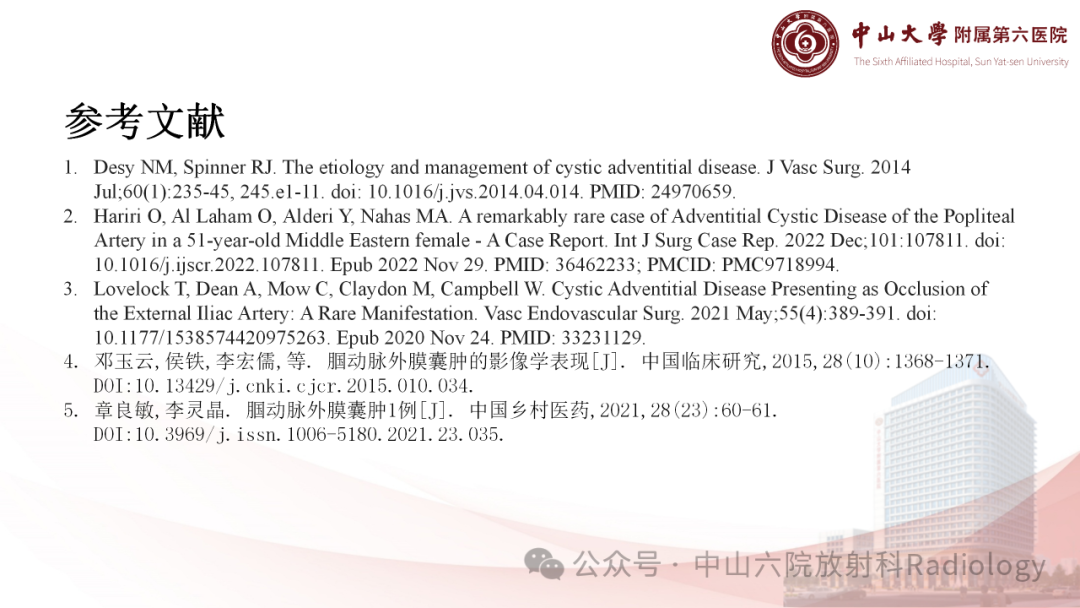 影像PPT - 【PPT】囊性动脉外膜病-19
