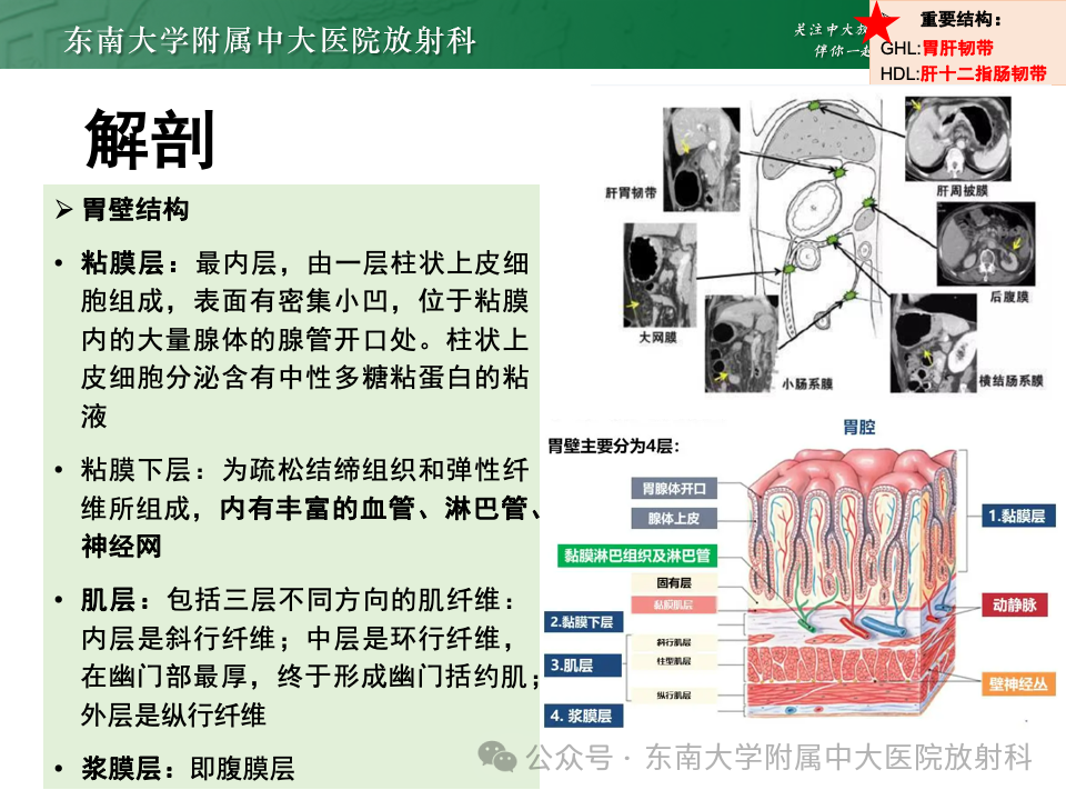影像PPT - 【病例】胃部/胃周占位随访-35